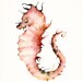 Coral Seahorse- seahorse print- nautical decor