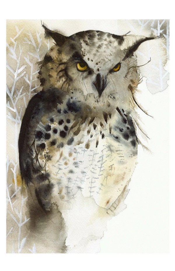 Great Horned Owl- Archival Print- 11 x 17