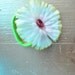 Nine Ponytail Holders - Vintage Floral Petals