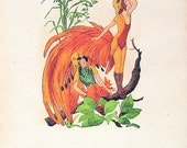 Rook, Bird of Paradise 1912 Antique Bird Children Book Plate 2 Sided