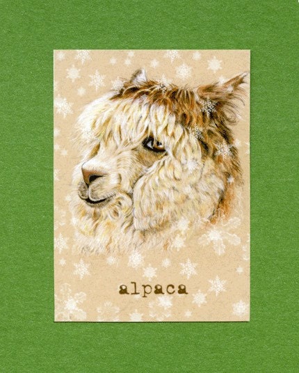 Alpaca ACEO ATC Artist Trading Card