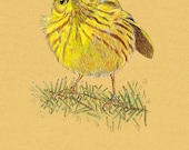 Greeting Card Yellow Warbler Bird