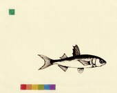 Sea (fish)