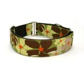 1.5" dog collar Casablanca buckle or martingale collar