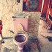 Dream or Nightmare Bathroom, 8x10 Signed Photograph, Trailer Park, Abandoned