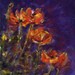 watercolor and pastel Poppy Painting - original painting - alisa wilcher