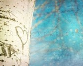 Valentine gift, Fine Art Photography, Heart print, Valentine's day, Valentine art, i love you print, i love you photography, 5x7 (13x18cm)
