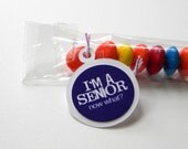 Graduation Favors, Candy Treat Bag, Senior, Set of 12, White, Purple Il_170x135