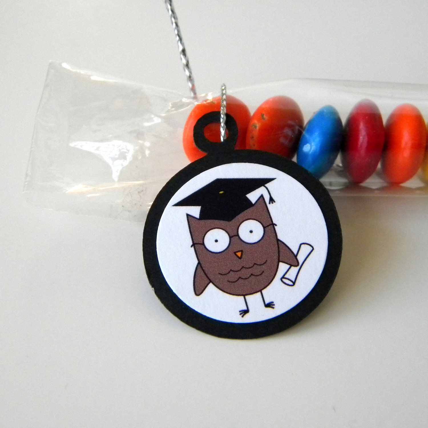Graduation Owl Party Favor, Candy Treat Bags, Set of 12 Il_570xn