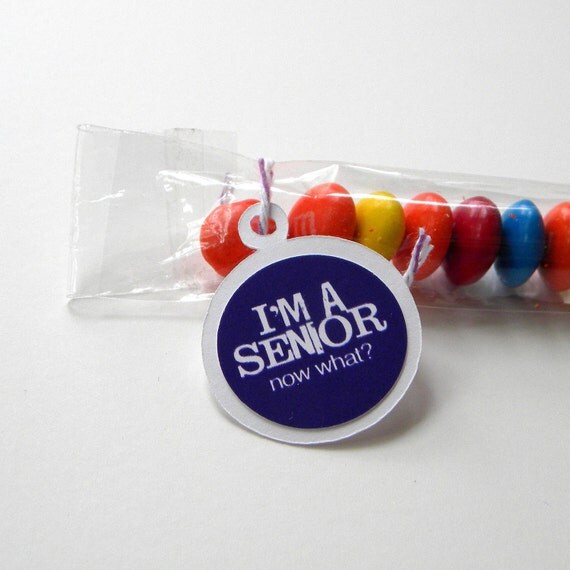 Graduation Favors, Candy Treat Bag, Senior, Set of 12, White, Purple Il_570xn