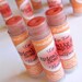 Bullfrog Cherry-Peach Epic Vegan Lip Tint
