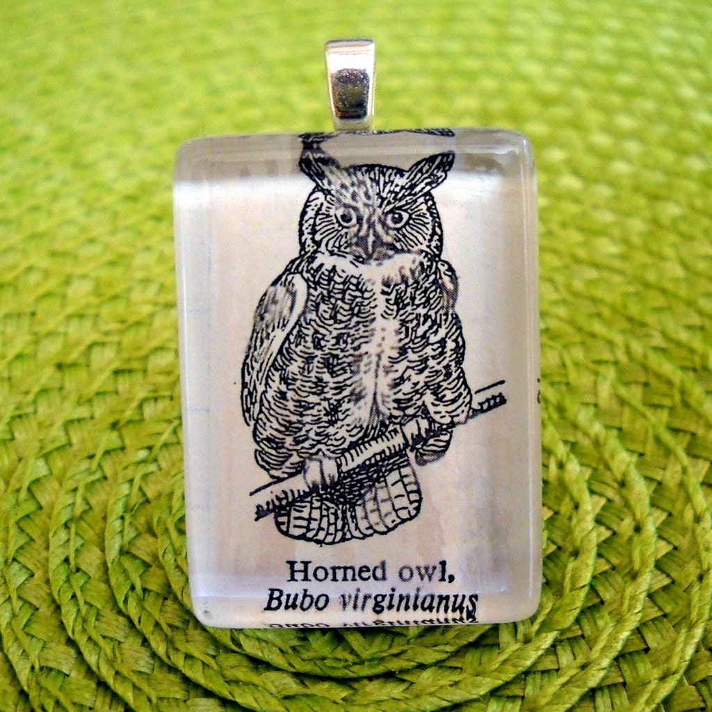 Horned Owl Dictionary Illustration Pendant