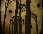 Arches Art Photo