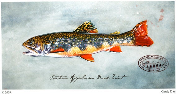 Appalachian Brook Trout Giclée Print
