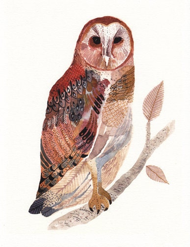 Barn Owl - Limited Edition Print