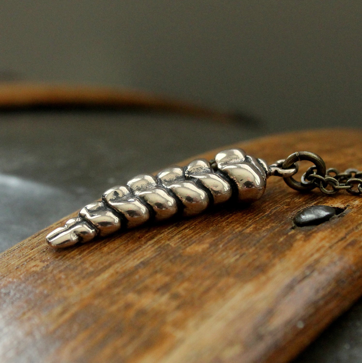 Rattlesnake Tail Necklace in Solid Bronze Rattle Snake Pendant