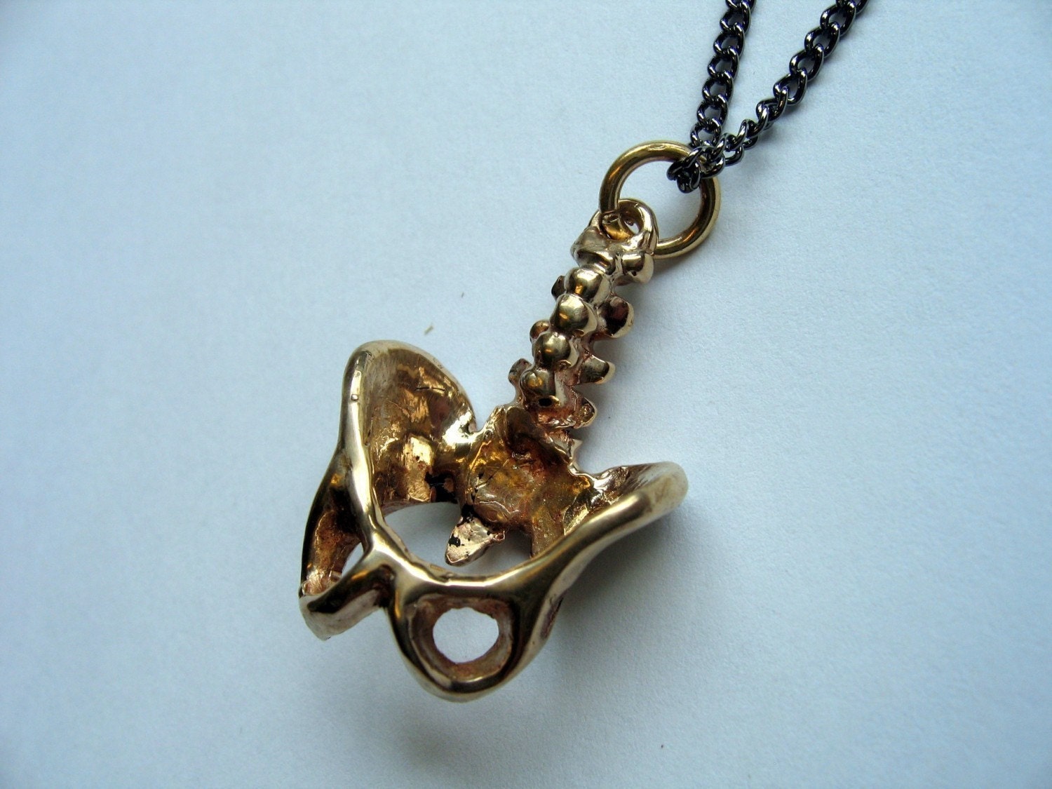 3D Bronze Human Pelvis Necklace - Moon Raven Designs