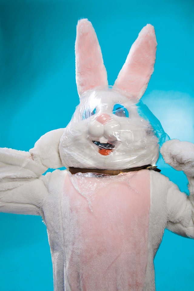 Autoerotic asphyxiation bunny (sex issue, color photography, sexy sailor moon, anime, geekery, home decor, pin up, cosplay
