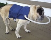 Vision Impaired and  Blind Dog Helper Jacket