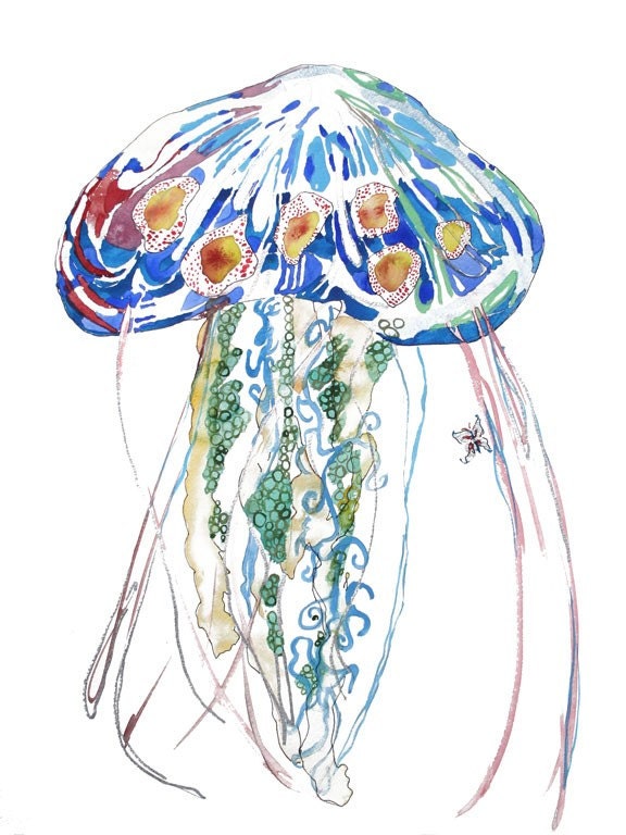 Jellyfish -  Matted limited edition print from original 13 x19