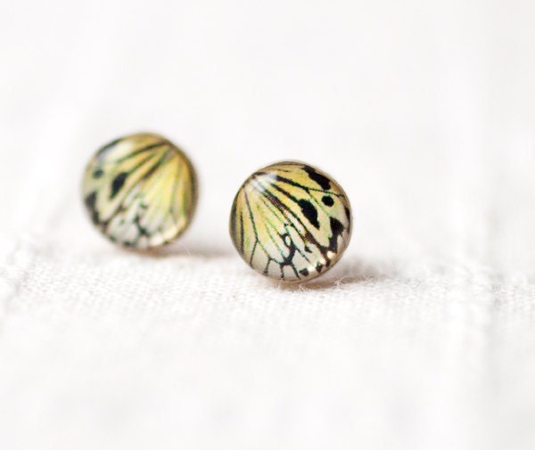 Butterfly wing stud earrings - Mustard tiny earrings - Ear posts (E093)