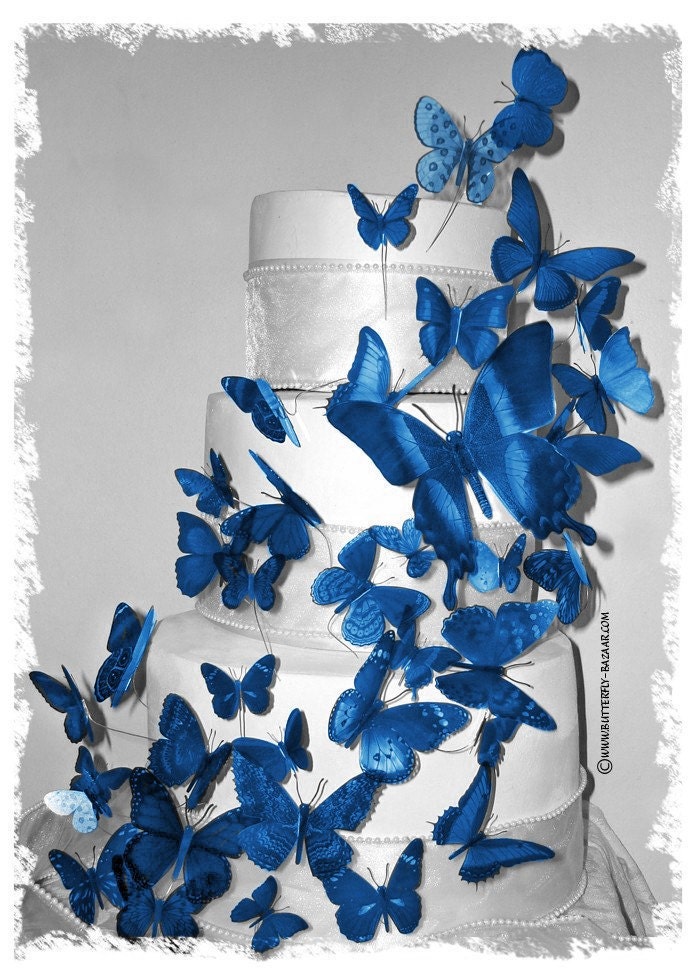 Royal Blue 3D Butterflies in Horizon Royal / Blue / Cornflower / or DAVID'S BRIDAL Color Butterfly Cake Topper Weddings Decoration 46x