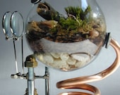 Pipe, Vessel & Moss