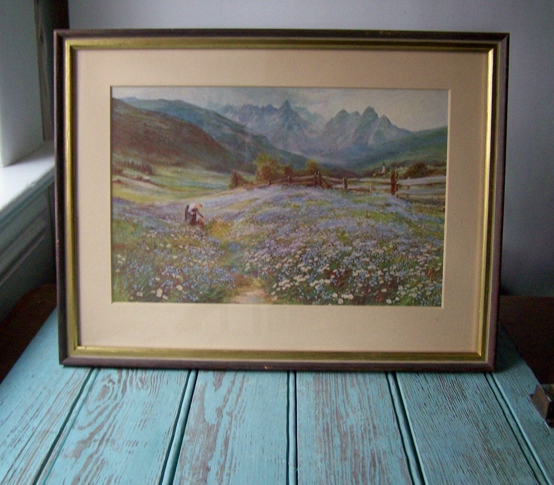 Vintage Alpine Meadows Framed Print