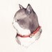 I will draw/paint a portrait of your pet for you.