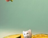Sour Puss - 5x7 Metallic Print