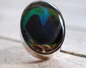 Tailfeather Ring