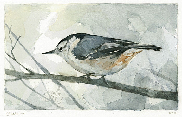 Nuthatch Watercolor Painting Bird Print - limited edition