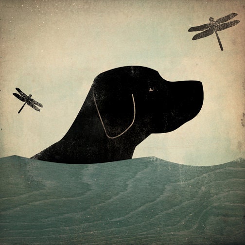 Summer Swim - Black (Red, Yellow, Brown too) Dog giclee print 12x12 inch LABRADOR RETRIEVER