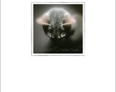 Cat Greeting Card - Cat Ears
