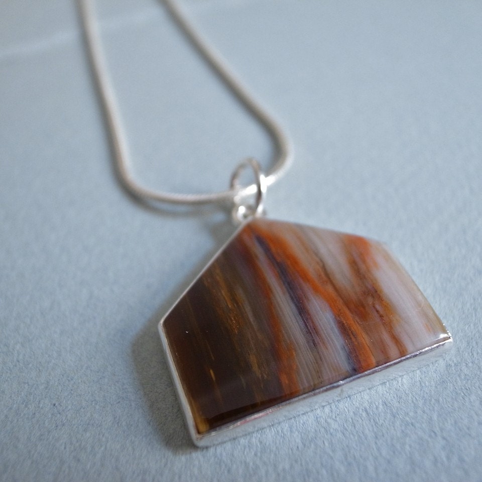 house pendant - petrified wood