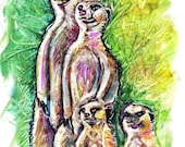 Meerkats --Artist Signed Watercolor Print