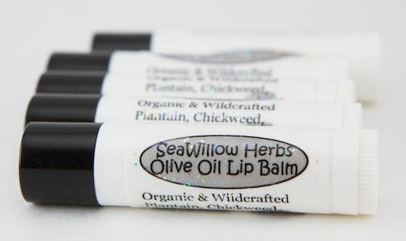 Organic Lip Balm // Olive Oil // Unscented // Natural Herbal Lip Therapy - with Infused Healing Herbs - Plantain, Chickweed, Calendula