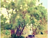 Corvette Summer 8x10 - Classic Car Art - Corvette Photograph - Vintage Car Photo - Nostalgic Summer Art Print
