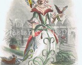 Vintage GRANDVILLE Botanical Print 'OEILLET' (Carnation), Adorable, Whimsical, Perfect for Framing, Charming