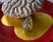 Gold Insect Teardrop Posts