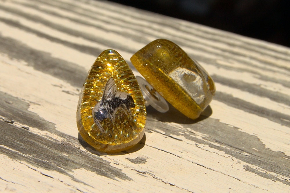 Golden Honey Teardrop Insect Studs