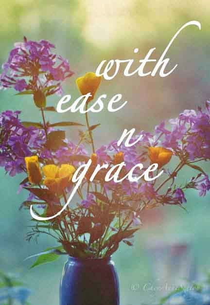 With Ease n Grace Purple n Orange photograph 5x7