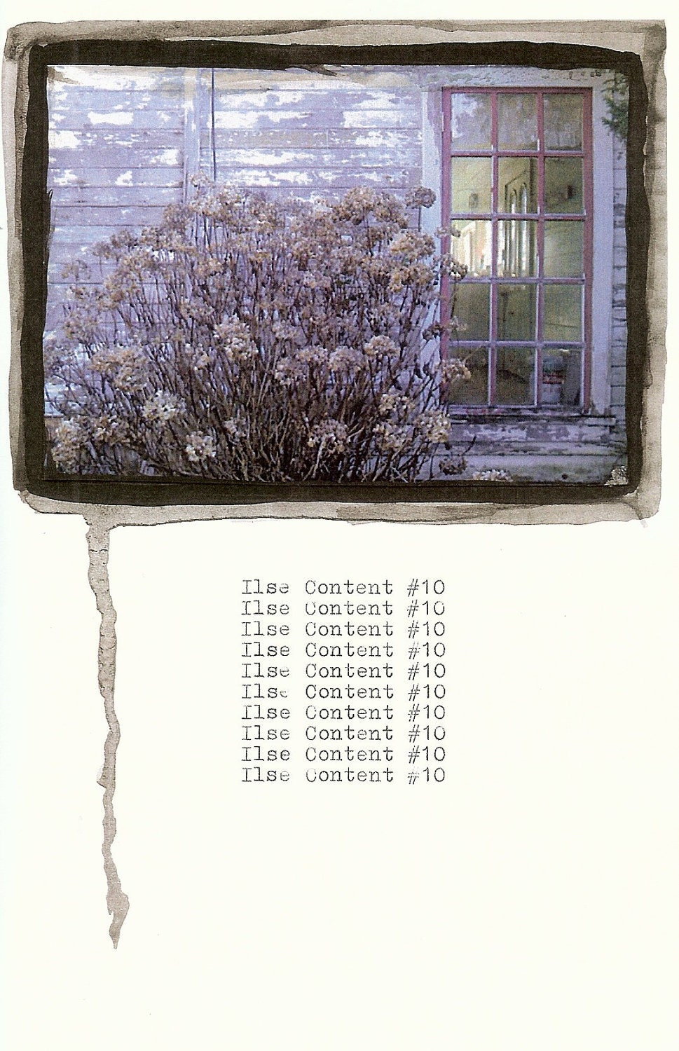 Ilse Content, Vol. 10 (Zine)