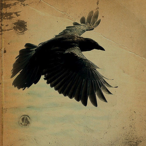 Raven Black Bird - Square Steampunk Halloween Wood Gold Rustic Wings. Poe Nevermore