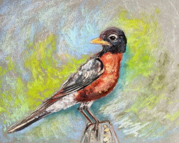 bird drawing, Robin painting, animal painting, pastel painting, bird art print, bird painting - Contemplating Blueberry Picking 8x10 print