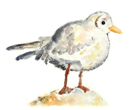Whimsical Beach Decor, Gull painting, Bird painting, nursery bird art print, gender neutral decor - Puff of Contentment
