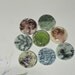 Vintage Magnet Set- Birds, Paris, Flowers