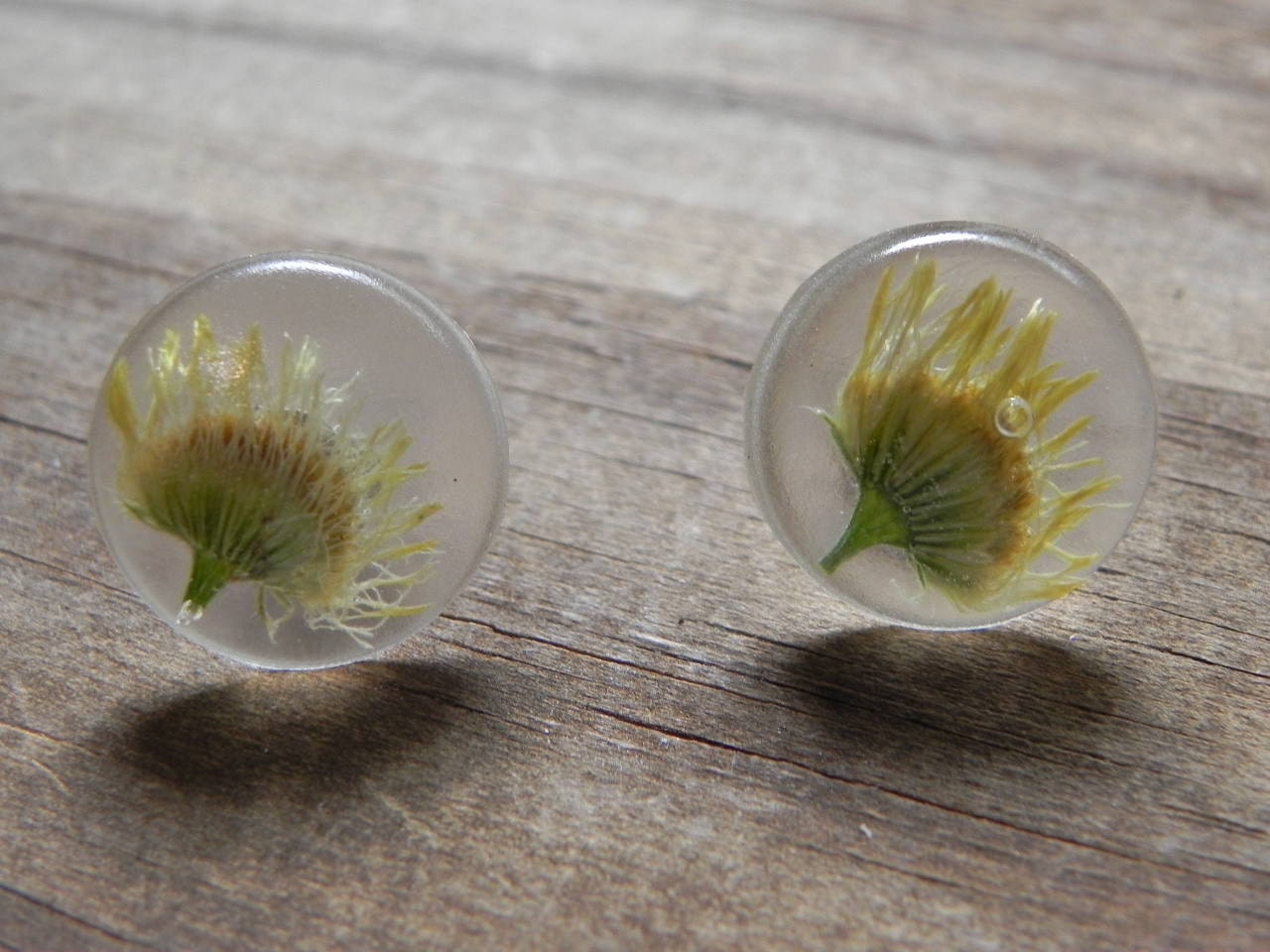 Wild flower stud earrings, modern pressed flower stud earring, floral stud earrings, post earrings, floral post earrings, botanical earrings
