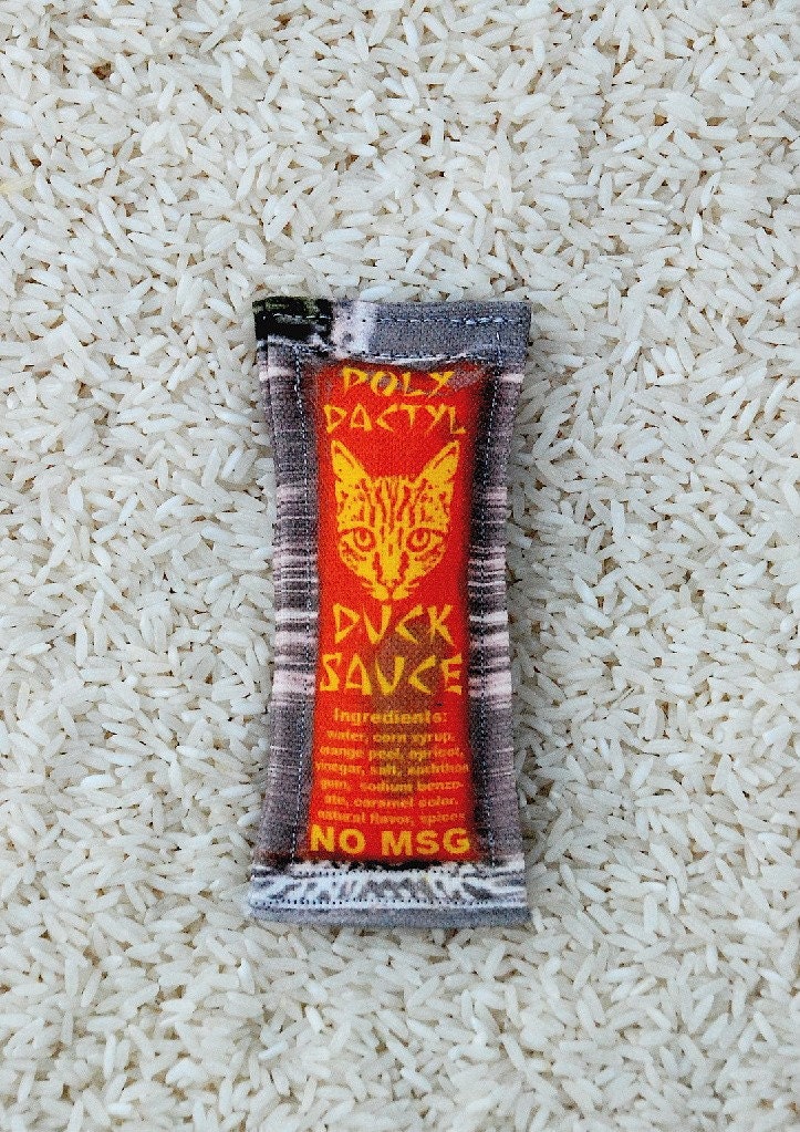 Duck Sauce Packet Cat Toy