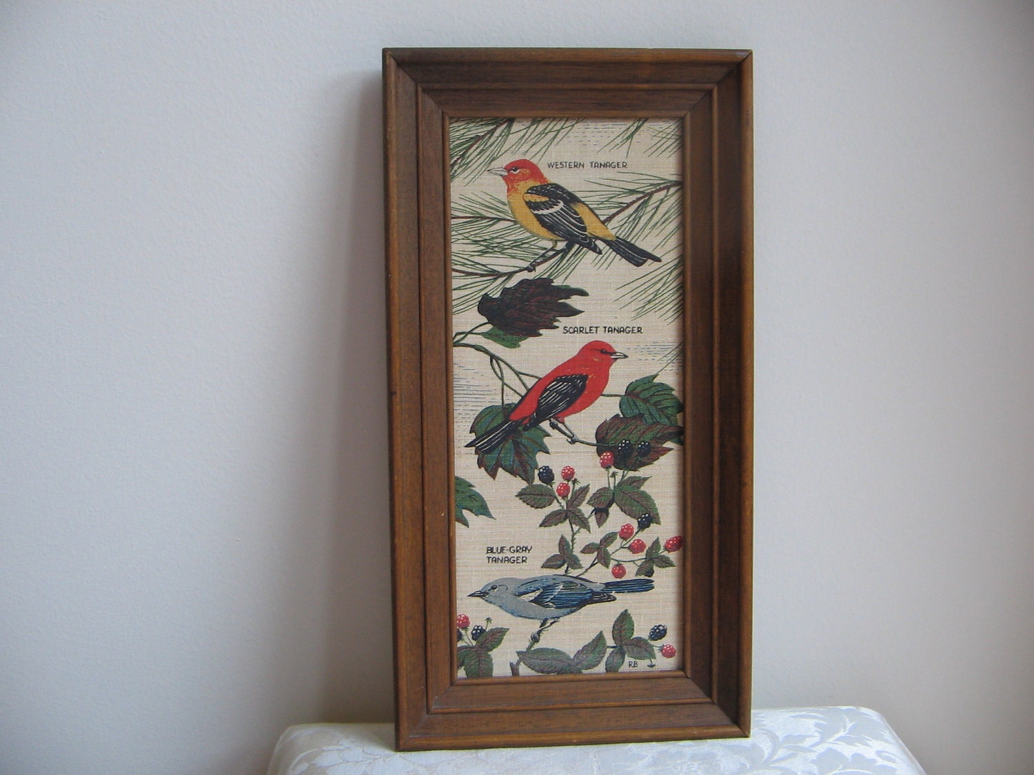 Vintage Birds Kay Dee Linen Print Framed Wall Art Tanager USA